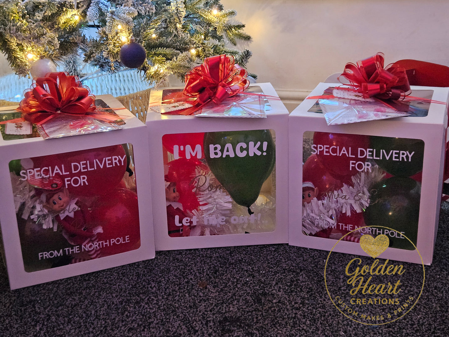 Elf Arrival - Traditional WITH ELF